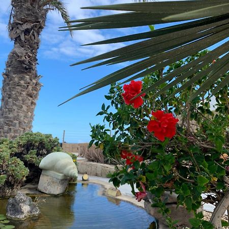 Little Paradise In El Medano 2 Granadilla De Abona Eksteriør billede