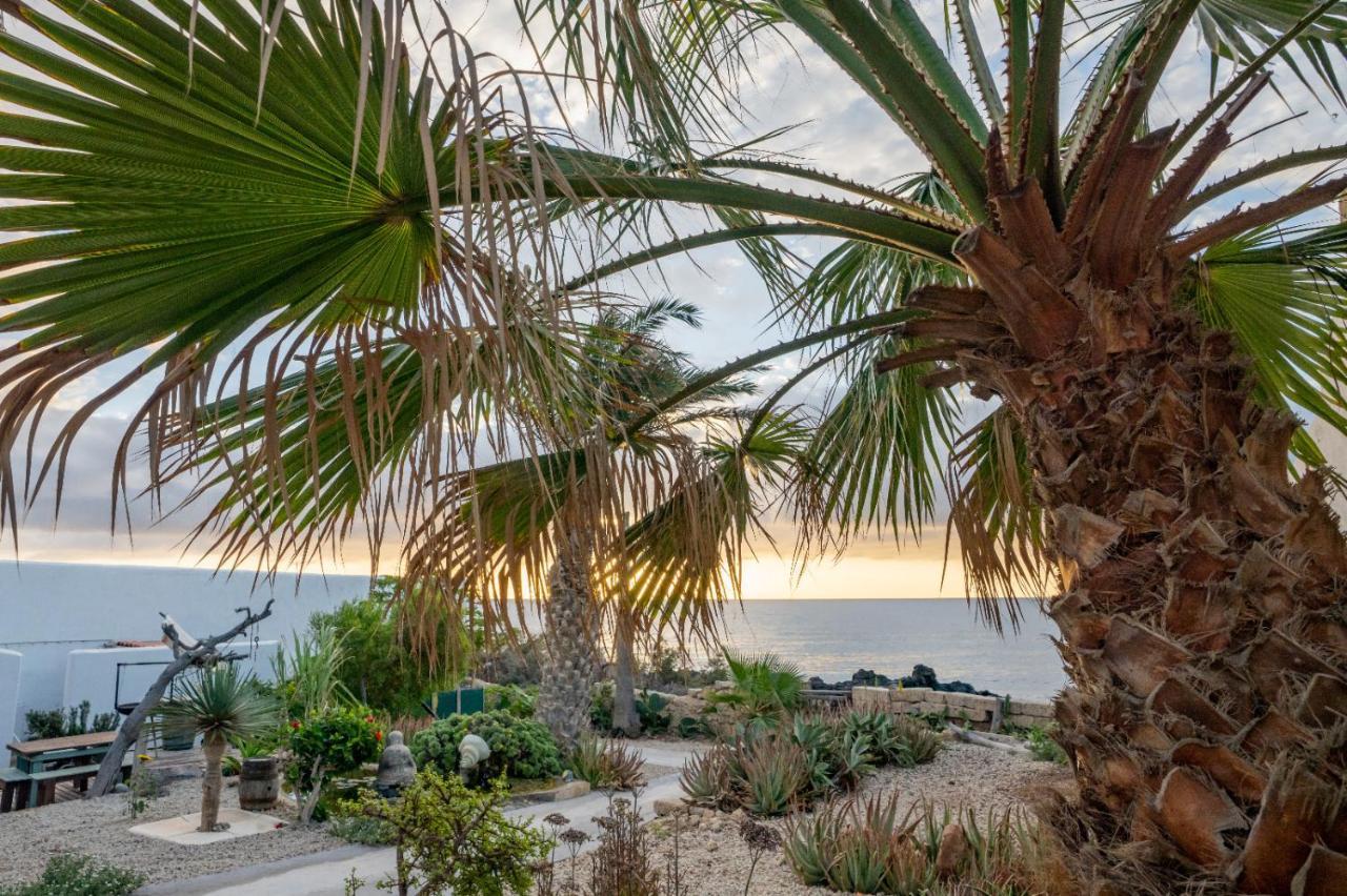 Little Paradise In El Medano 2 Granadilla De Abona Eksteriør billede